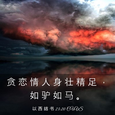 Picture 03 - 以 西 结 书 23:20 CUVS - 贪 恋 情 人 身 壮 精 足 ， 如 驴 如 - Bible Verse Picture