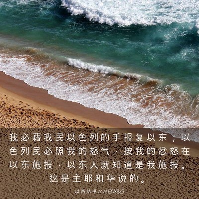 Picture 03 - 以 西 结 书 25:14 CUVS - 我 必 藉 我 民 以 色 列 的 手 报 复 - Bible Verse Picture