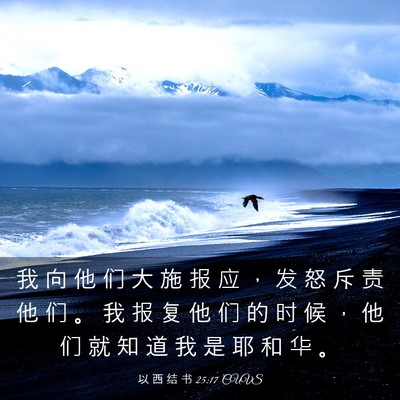 Picture 03 - 以 西 结 书 25:17 CUVS - 我 向 他 们 大 施 报 应 ， 发 怒 斥 - Bible Verse Picture