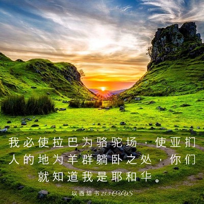 Picture 03 - 以 西 结 书 25:5 CUVS - 我 必 使 拉 巴 为 骆 驼 场 ， 使 亚 - Bible Verse Picture