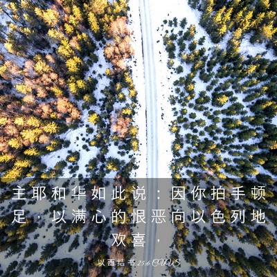 Picture 03 - 以 西 结 书 25:6 CUVS - 主 耶 和 华 如 此 说 ： 因 你 拍 手 - Bible Verse Picture