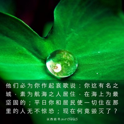 Picture 03 - 以 西 结 书 26:17 CUVS - 他 们 必 为 你 作 起 哀 歌 说 ： 你 - Bible Verse Picture