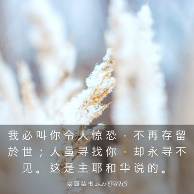 Picture 03 - 以 西 结 书 26:21 CUVS - 我 必 叫 你 令 人 惊 恐 ， 不 再 存 - Bible Verse Picture