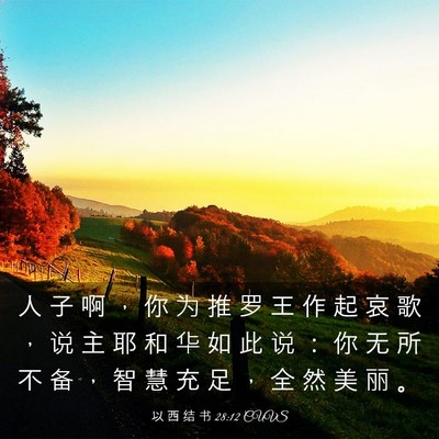 Picture 03 - 以 西 结 书 28:12 CUVS - 人 子 啊 ， 你 为 推 罗 王 作 起 哀 - Bible Verse Picture
