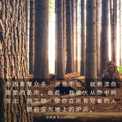 Picture 03 - 以 西 结 书 28:18 CUVS - 你 因 罪 孽 众 多 ， 贸 易 不 公 ， - Bible Verse Picture