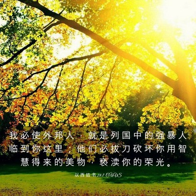 Picture 03 - 以 西 结 书 28:7 CUVS - 我 必 使 外 邦 人 ， 就 是 列 国 中 - Bible Verse Picture