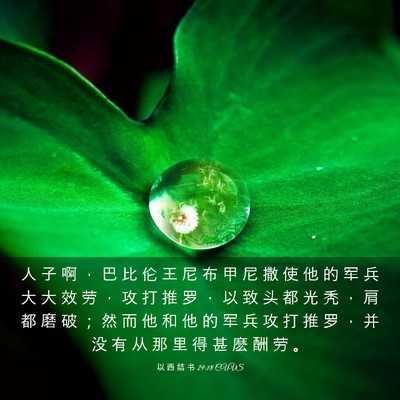 Picture 03 - 以 西 结 书 29:18 CUVS - 人 子 啊 ， 巴 比 伦 王 尼 布 甲 尼 - Bible Verse Picture