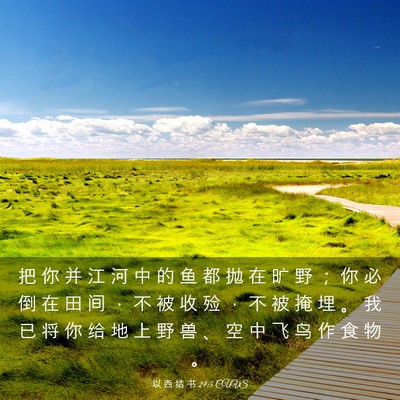 Picture 03 - 以 西 结 书 29:5 CUVS - 把 你 并 江 河 中 的 鱼 都 抛 在 旷 - Bible Verse Picture