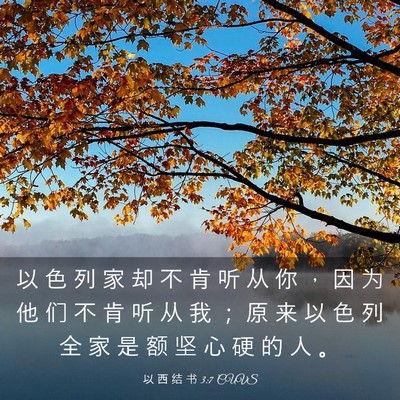 Picture 03 - 以 西 结 书 3:7 CUVS - 以 色 列 家 却 不 肯 听 从 你 ， 因 - Bible Verse Picture