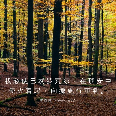 Picture 03 - 以 西 结 书 30:14 CUVS - 我 必 使 巴 忒 罗 荒 凉 ， 在 琐 安 - Bible Verse Picture