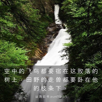 Picture 03 - 以 西 结 书 31:13 CUVS - 空 中 的 飞 鸟 都 要 宿 在 这 败 落 - Bible Verse Picture