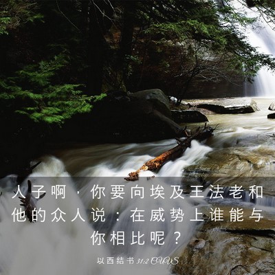 Picture 03 - 以 西 结 书 31:2 CUVS - 人 子 啊 ， 你 要 向 埃 及 王 法 老 - Bible Verse Picture