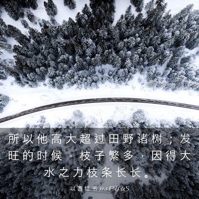 Picture 03 - 以 西 结 书 31:5 CUVS - 所 以 他 高 大 超 过 田 野 诸 树 ； - Bible Verse Picture