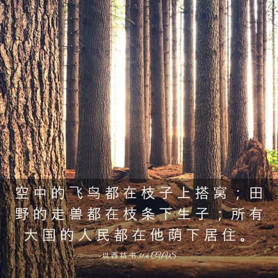 Picture 03 - 以 西 结 书 31:6 CUVS - 空 中 的 飞 鸟 都 在 枝 子 上 搭 窝 - Bible Verse Picture