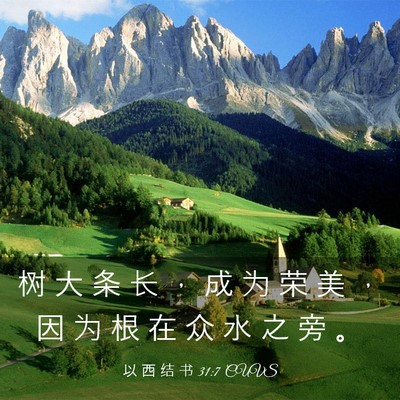 Picture 03 - 以 西 结 书 31:7 CUVS - 树 大 条 长 ， 成 为 荣 美 ， 因 为 - Bible Verse Picture