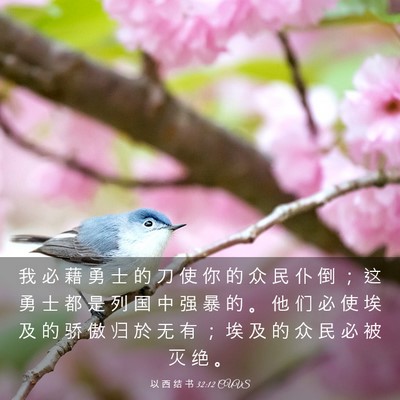 Picture 03 - 以 西 结 书 32:12 CUVS - 我 必 藉 勇 士 的 刀 使 你 的 众 民 - Bible Verse Picture