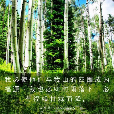 Picture 03 - 以 西 结 书 34:26 CUVS - 我 必 使 他 们 与 我 山 的 四 围 成 - Bible Verse Picture
