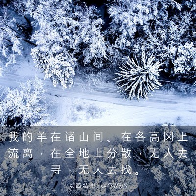 Picture 03 - 以 西 结 书 34:6 CUVS - 我 的 羊 在 诸 山 间 、 在 各 高 冈 - Bible Verse Picture