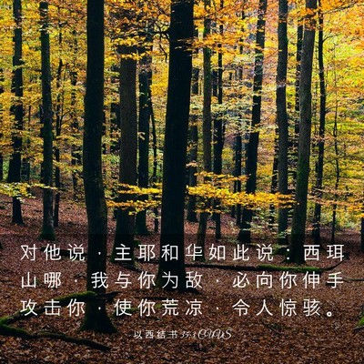 Picture 03 - 以 西 结 书 35:3 CUVS - 对 他 说 ， 主 耶 和 华 如 此 说 ： - Bible Verse Picture