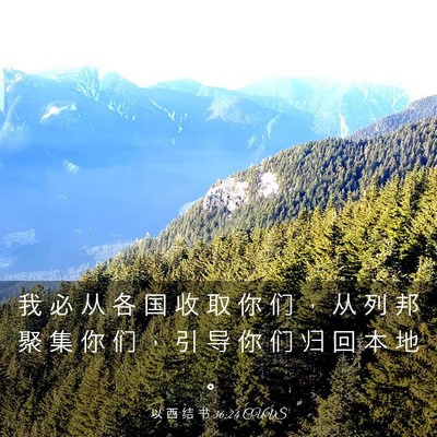 Picture 03 - 以 西 结 书 36:24 CUVS - 我 必 从 各 国 收 取 你 们 ， 从 列 - Bible Verse Picture