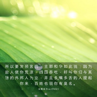 Picture 03 - 以 西 结 书 36:3 CUVS - 所 以 要 发 预 言 说 ， 主 耶 和 华 - Bible Verse Picture