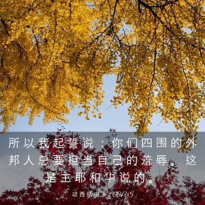 Picture 03 - 以 西 结 书 36:7 CUVS - 所 以 我 起 誓 说 ： 你 们 四 围 的 - Bible Verse Picture
