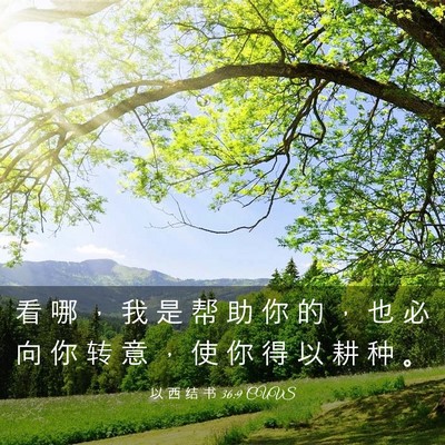 Picture 03 - 以 西 结 书 36:9 CUVS - 看 哪 ， 我 是 帮 助 你 的 ， 也 必 - Bible Verse Picture
