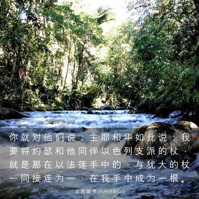 Picture 03 - 以 西 结 书 37:19 CUVS - 你 就 对 他 们 说 ： 主 耶 和 华 如 - Bible Verse Picture