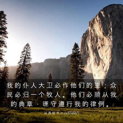 Picture 03 - 以 西 结 书 37:24 CUVS - 我 的 仆 人 大 卫 必 作 他 们 的 王 - Bible Verse Picture