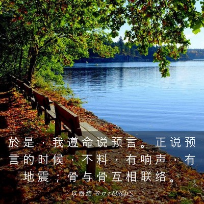Picture 03 - 以 西 结 书 37:7 CUVS - 於 是 ， 我 遵 命 说 预 言 。 正 说 - Bible Verse Picture