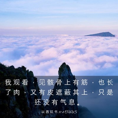 Picture 03 - 以 西 结 书 37:8 CUVS - 我 观 看 ， 见 骸 骨 上 有 筋 ， 也 - Bible Verse Picture