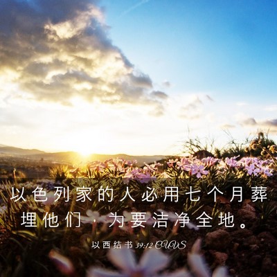 Picture 03 - 以 西 结 书 39:12 CUVS - 以 色 列 家 的 人 必 用 七 个 月 葬 - Bible Verse Picture