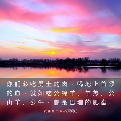 Picture 03 - 以 西 结 书 39:18 CUVS - 你 们 必 吃 勇 士 的 肉 ， 喝 地 上 - Bible Verse Picture