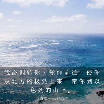 Picture 03 - 以 西 结 书 39:2 CUVS - 我 必 调 转 你 ， 领 你 前 往 ， 使 - Bible Verse Picture