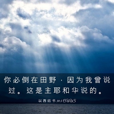 Picture 03 - 以 西 结 书 39:5 CUVS - 你 必 倒 在 田 野 ， 因 为 我 曾 说 - Bible Verse Picture