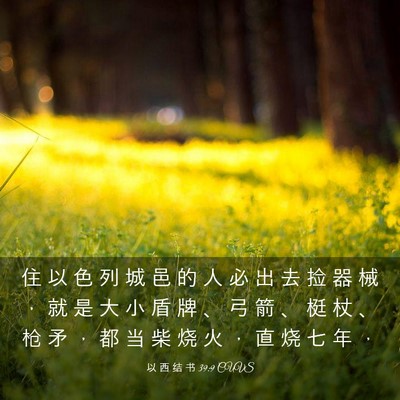 Picture 03 - 以 西 结 书 39:9 CUVS - 住 以 色 列 城 邑 的 人 必 出 去 捡 - Bible Verse Picture