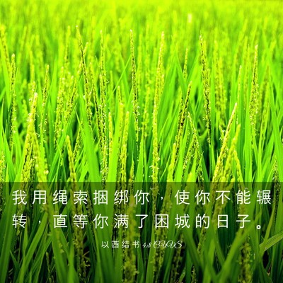 Picture 03 - 以 西 结 书 4:8 CUVS - 我 用 绳 索 捆 绑 你 ， 使 你 不 能 - Bible Verse Picture