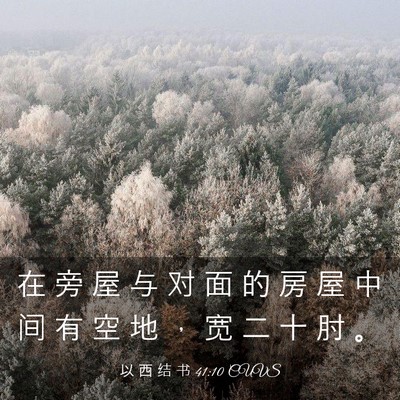 Picture 03 - 以 西 结 书 41:10 CUVS - 在 旁 屋 与 对 面 的 房 屋 中 间 有 - Bible Verse Picture