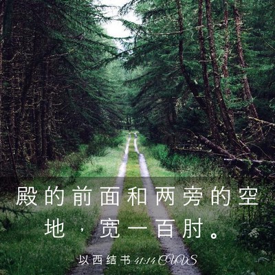 Picture 03 - 以 西 结 书 41:14 CUVS - 殿 的 前 面 和 两 旁 的 空 地 ， 宽 - Bible Verse Picture