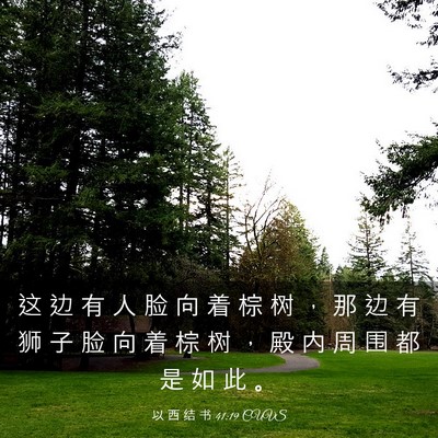 Picture 03 - 以 西 结 书 41:19 CUVS - 这 边 有 人 脸 向 着 棕 树 ， 那 边 - Bible Verse Picture
