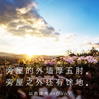 Picture 03 - 以 西 结 书 41:9 CUVS - 旁 屋 的 外 墙 厚 五 肘 。 旁 屋 之 - Bible Verse Picture