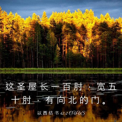 Picture 03 - 以 西 结 书 42:2 CUVS - 这 圣 屋 长 一 百 肘 ， 宽 五 十 肘 - Bible Verse Picture
