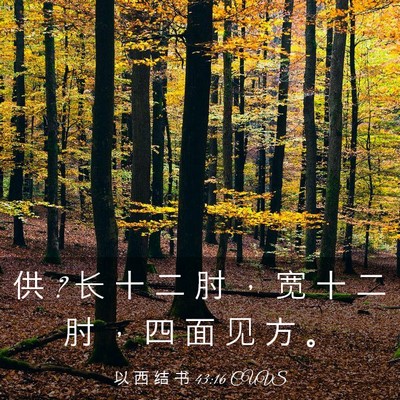 Picture 03 - 以 西 结 书 43:16 CUVS - 供 ? 长 十 二 肘 ， 宽 十 二 肘 ， 四 - Bible Verse Picture