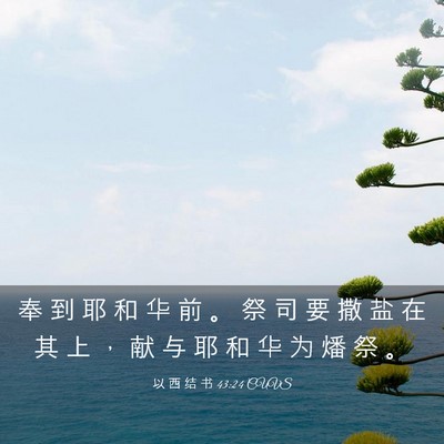 Picture 03 - 以 西 结 书 43:24 CUVS - 奉 到 耶 和 华 前 。 祭 司 要 撒 盐 - Bible Verse Picture