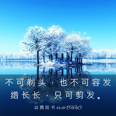 Picture 03 - 以 西 结 书 44:20 CUVS - 不 可 剃 头 ， 也 不 可 容 发 绺 长 - Bible Verse Picture