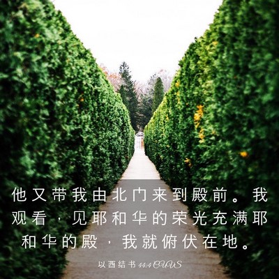 Picture 03 - 以 西 结 书 44:4 CUVS - 他 又 带 我 由 北 门 来 到 殿 前 。 - Bible Verse Picture