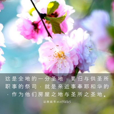 Picture 03 - 以 西 结 书 45:4 CUVS - 这 是 全 地 的 一 分 圣 地 ， 要 归 - Bible Verse Picture