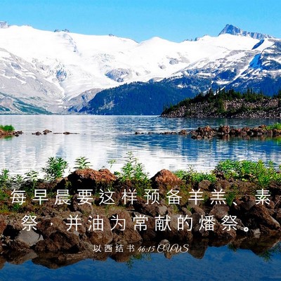Picture 03 - 以 西 结 书 46:15 CUVS - 每 早 晨 要 这 样 预 备 羊 羔 、 素 - Bible Verse Picture
