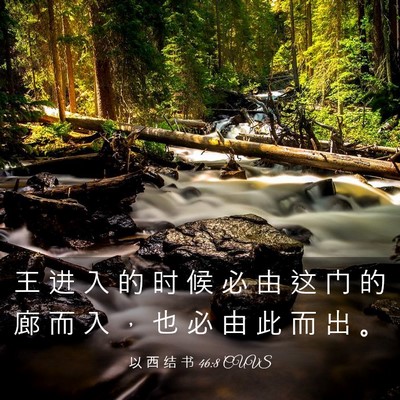 Picture 03 - 以 西 结 书 46:8 CUVS - 王 进 入 的 时 候 必 由 这 门 的 廊 - Bible Verse Picture