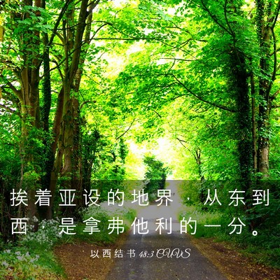 Picture 03 - 以 西 结 书 48:3 CUVS - 挨 着 亚 设 的 地 界 ， 从 东 到 西 - Bible Verse Picture